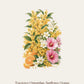Tea Essence Scented Sachet (4pcs Together)