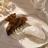 Earth Tone Elegance Hair Claw Set (2pcs)