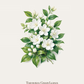 Secret Garden Aroma Stone