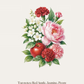 Secret Garden Aroma Stone
