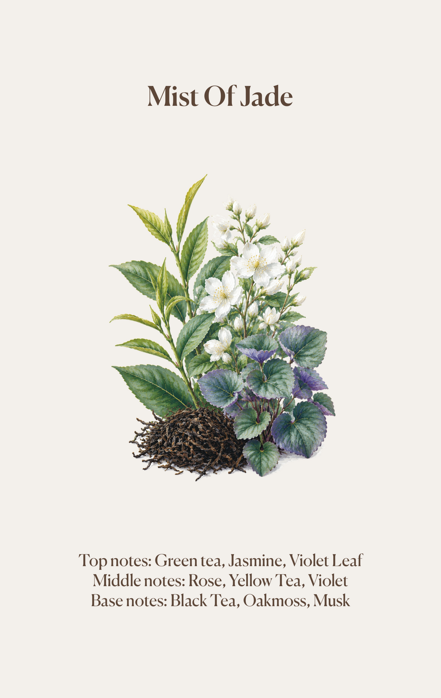 Tea Essence Scented Sachet (4pcs Together)