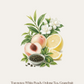 Tea Essence Scented Sachet (4pcs Together)