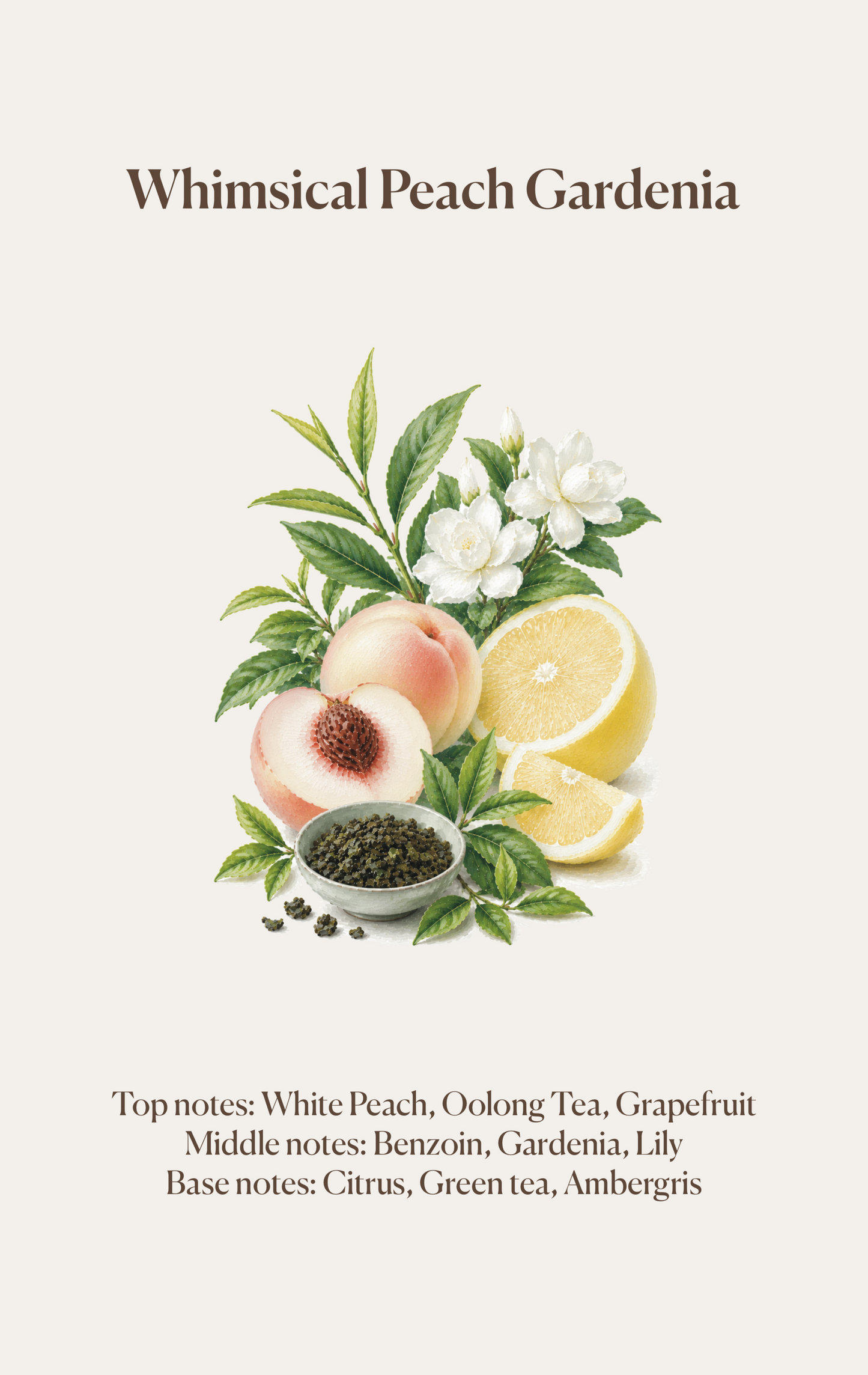 Tea Essence Scented Sachet (4pcs Together)
