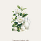 Petale Whisper Scented Sachet (6pcs Together)