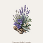 Fleur d Aura Scented Sachet (7pcs Together)