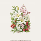 Bloom Essence Scented Sachet (3pcs Together)