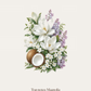 Bloom Veil Aroma Diffuser Stone