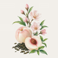 For My Love Aroma Stone Collection (4pcs Together)