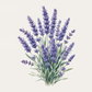 Botanical Fragrance Ornament Collection (5pcs Together)