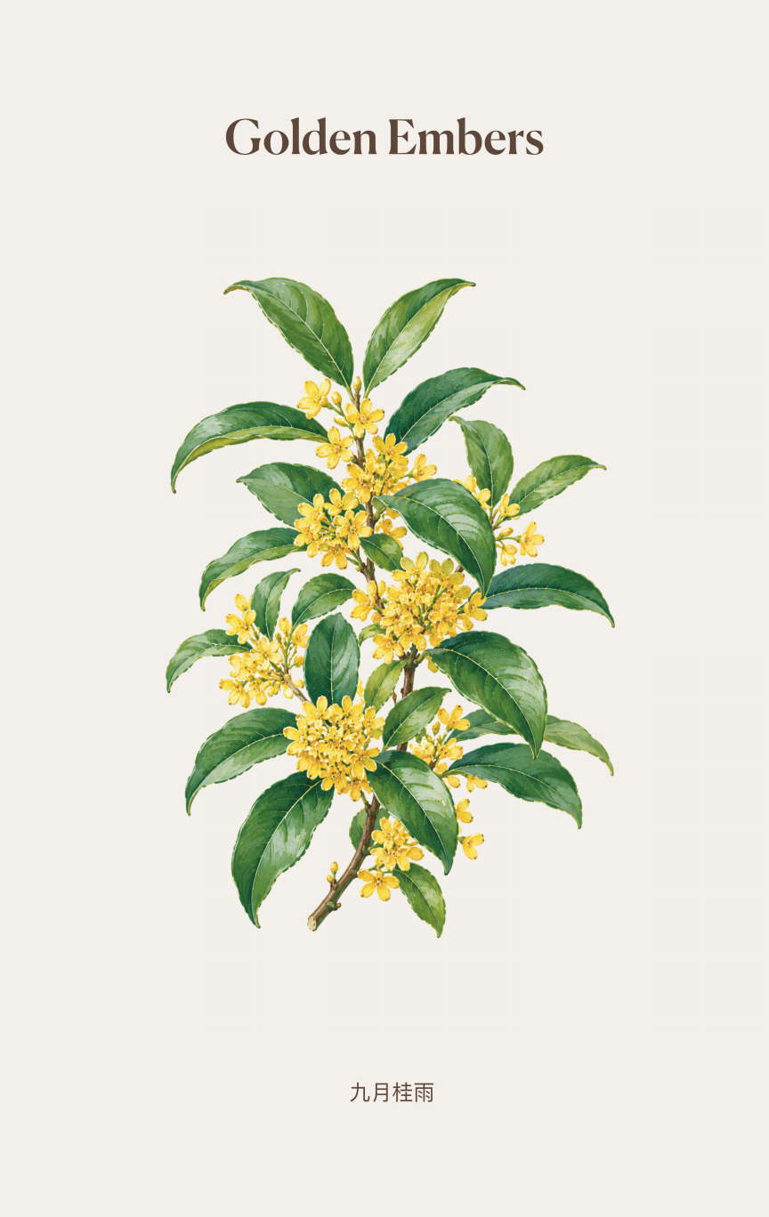 Botanical Fragrance Ornament Collection (5pcs Together)