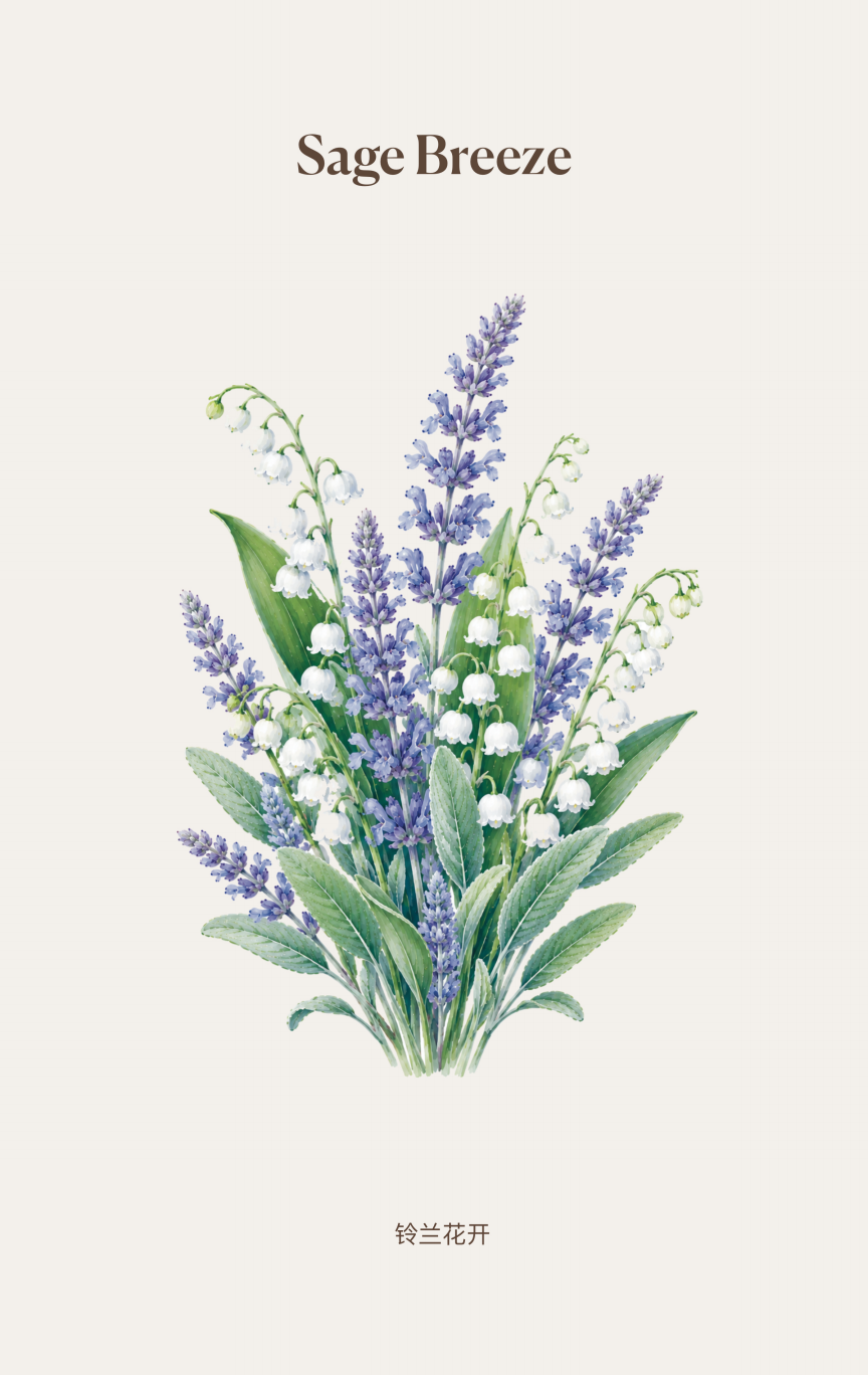 Botanical Fragrance Ornament Collection (5pcs Together)